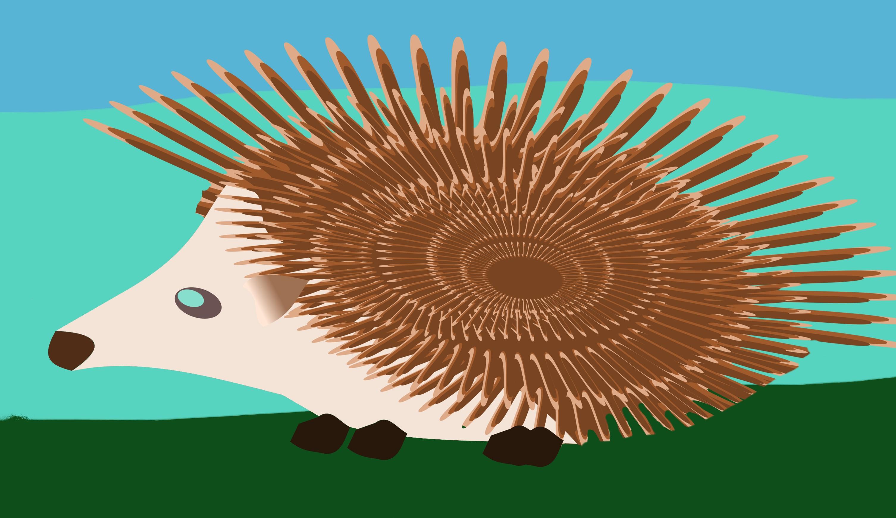If everything worked, this is a picture of a hedgehog