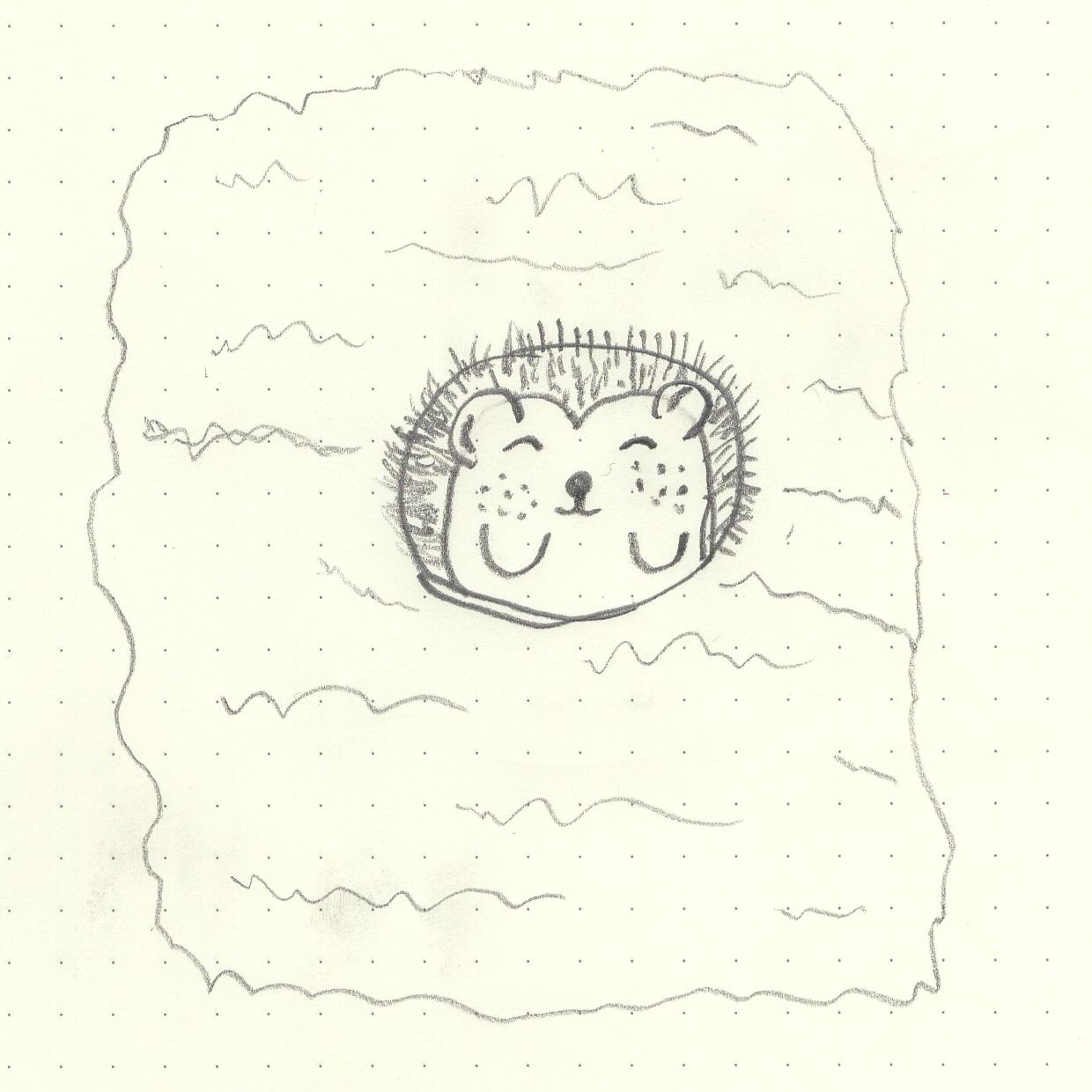 If everything worked, this is a picture of a hedgehog