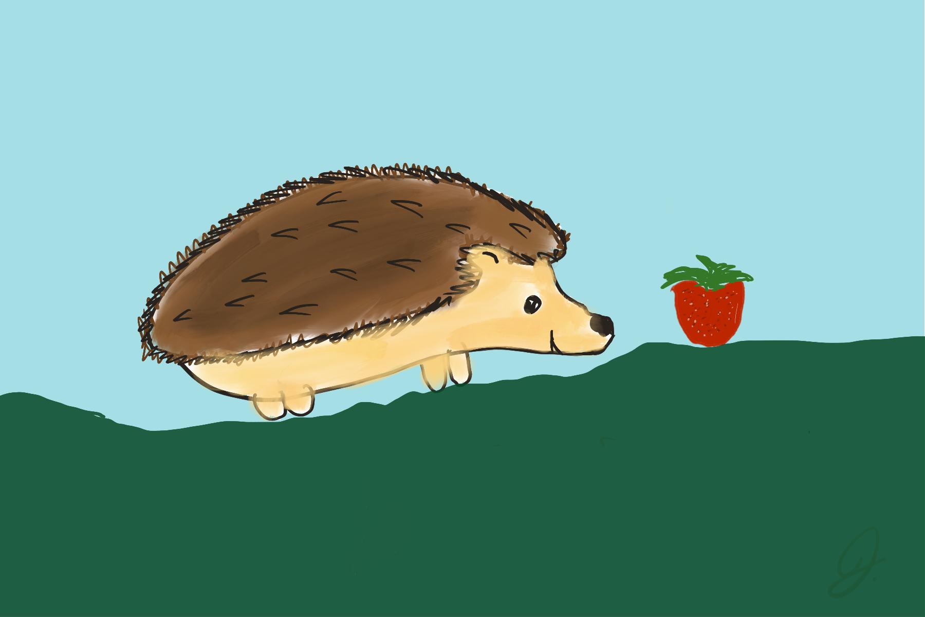 If everything worked, this is a picture of a hedgehog