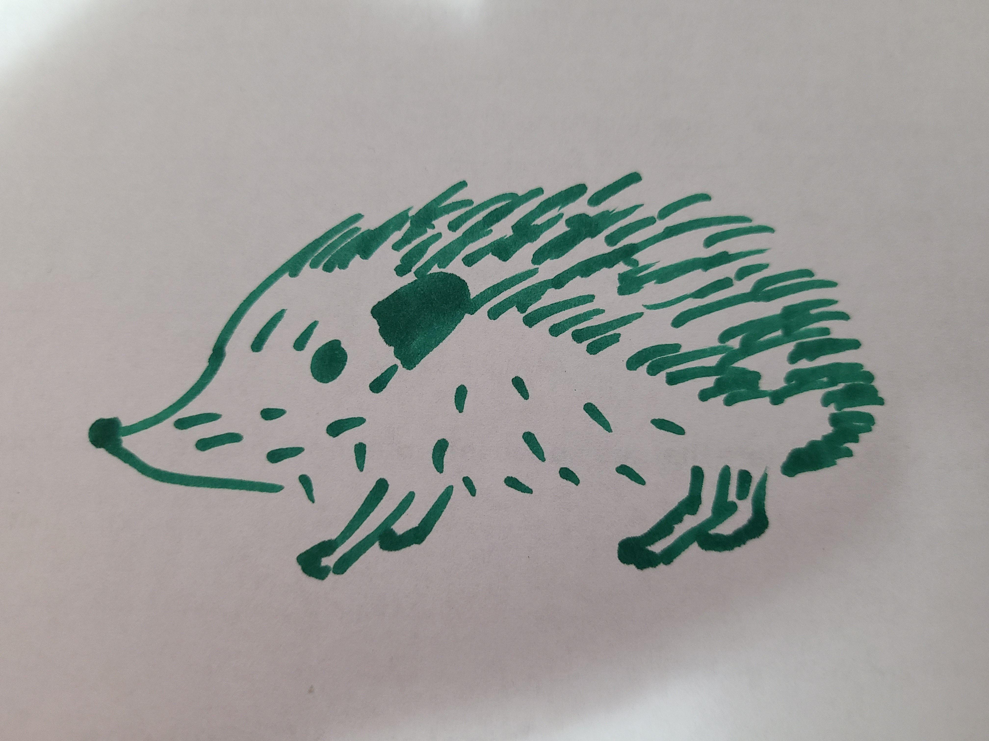 If everything worked, this is a picture of a hedgehog