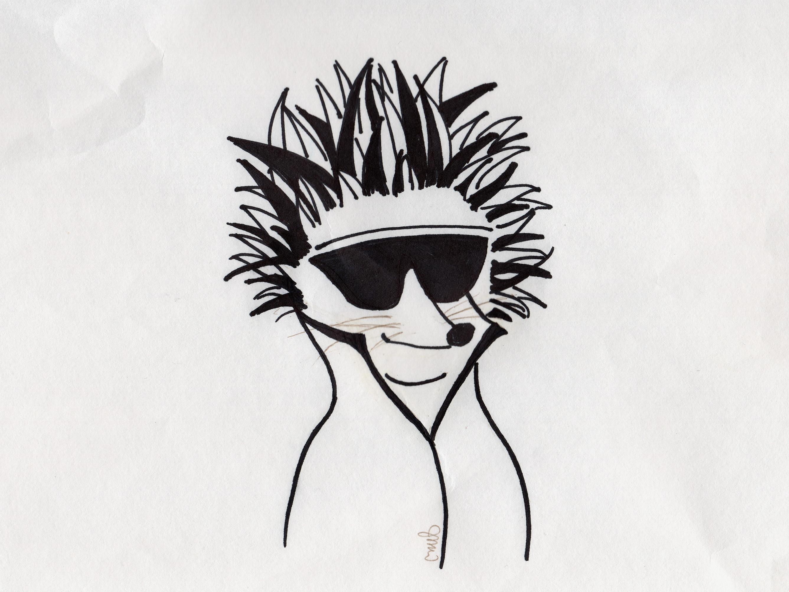 If everything worked, this is a picture of a hedgehog