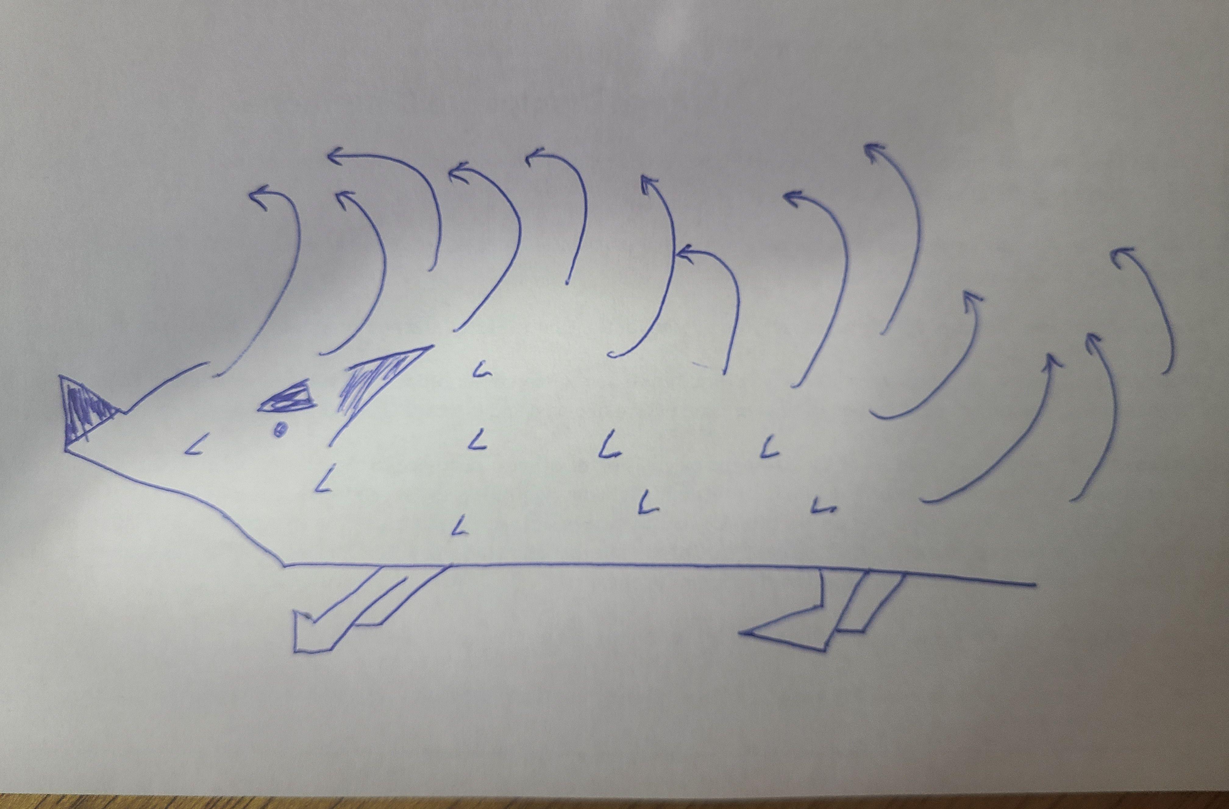 If everything worked, this is a picture of a hedgehog