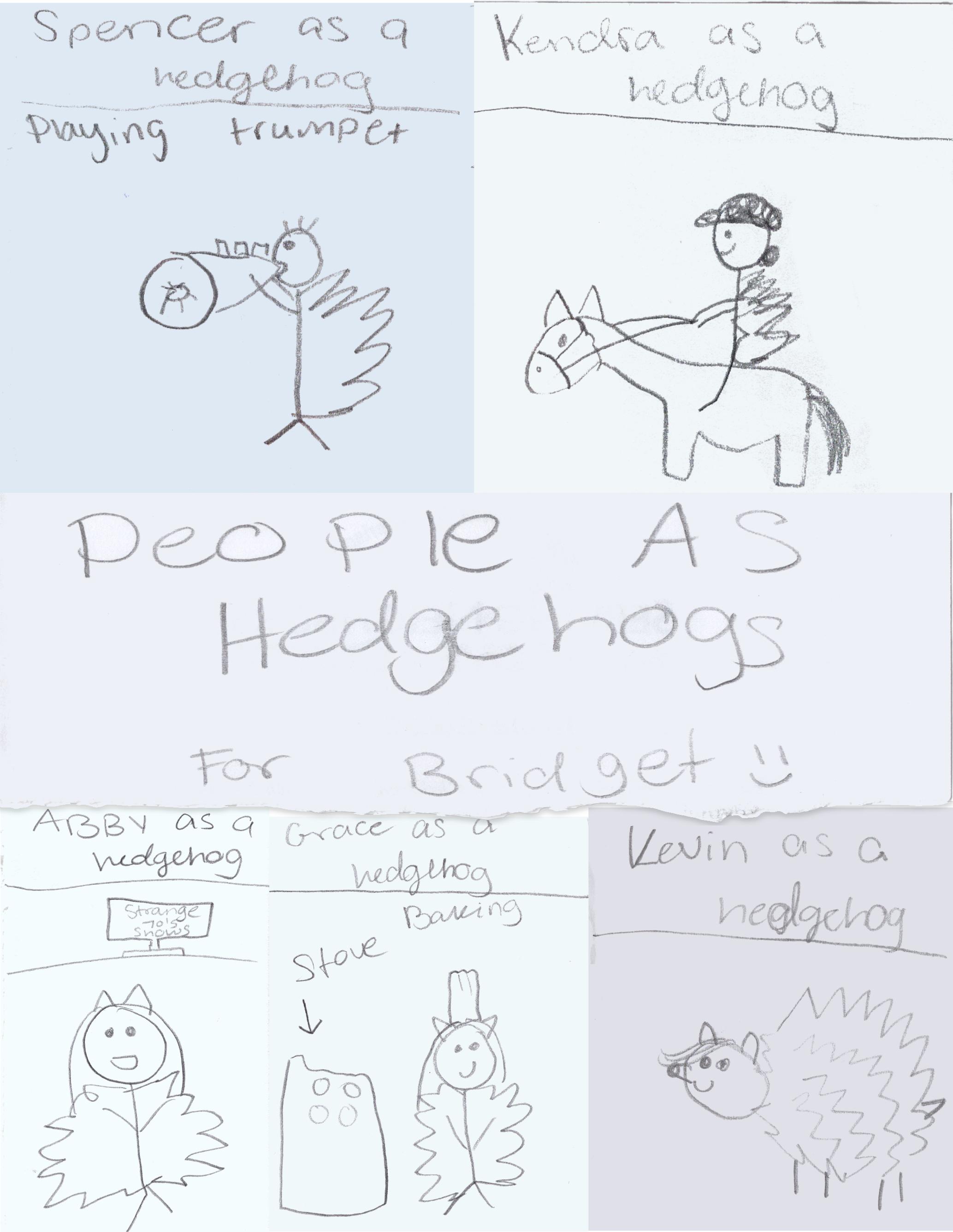 If everything worked, this is a picture of a hedgehog
