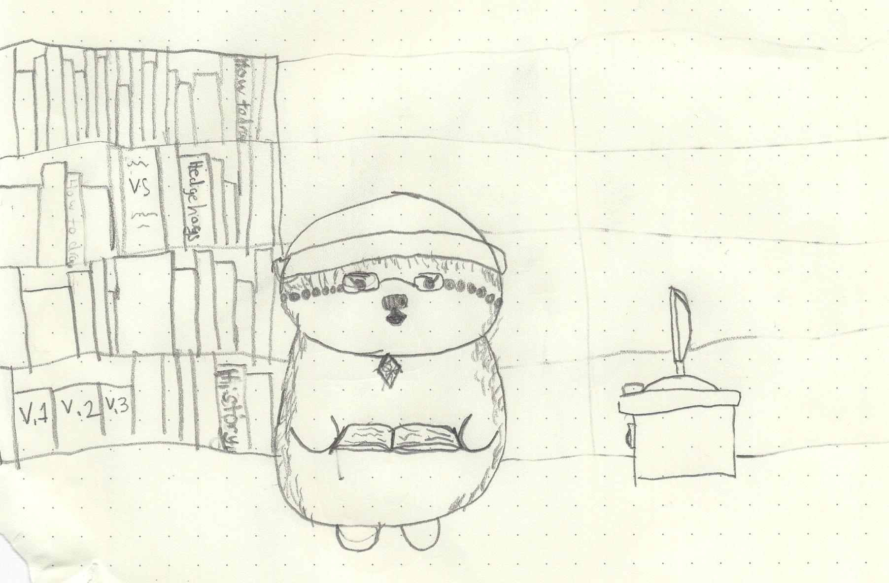 If everything worked, this is a picture of a hedgehog