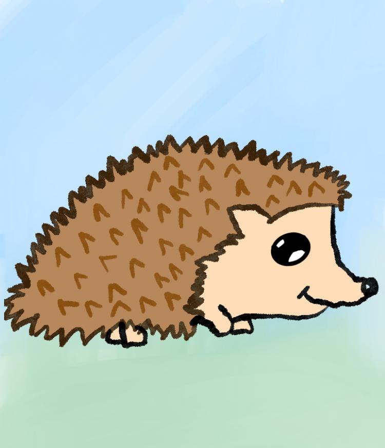 If everything worked, this is a picture of a hedgehog