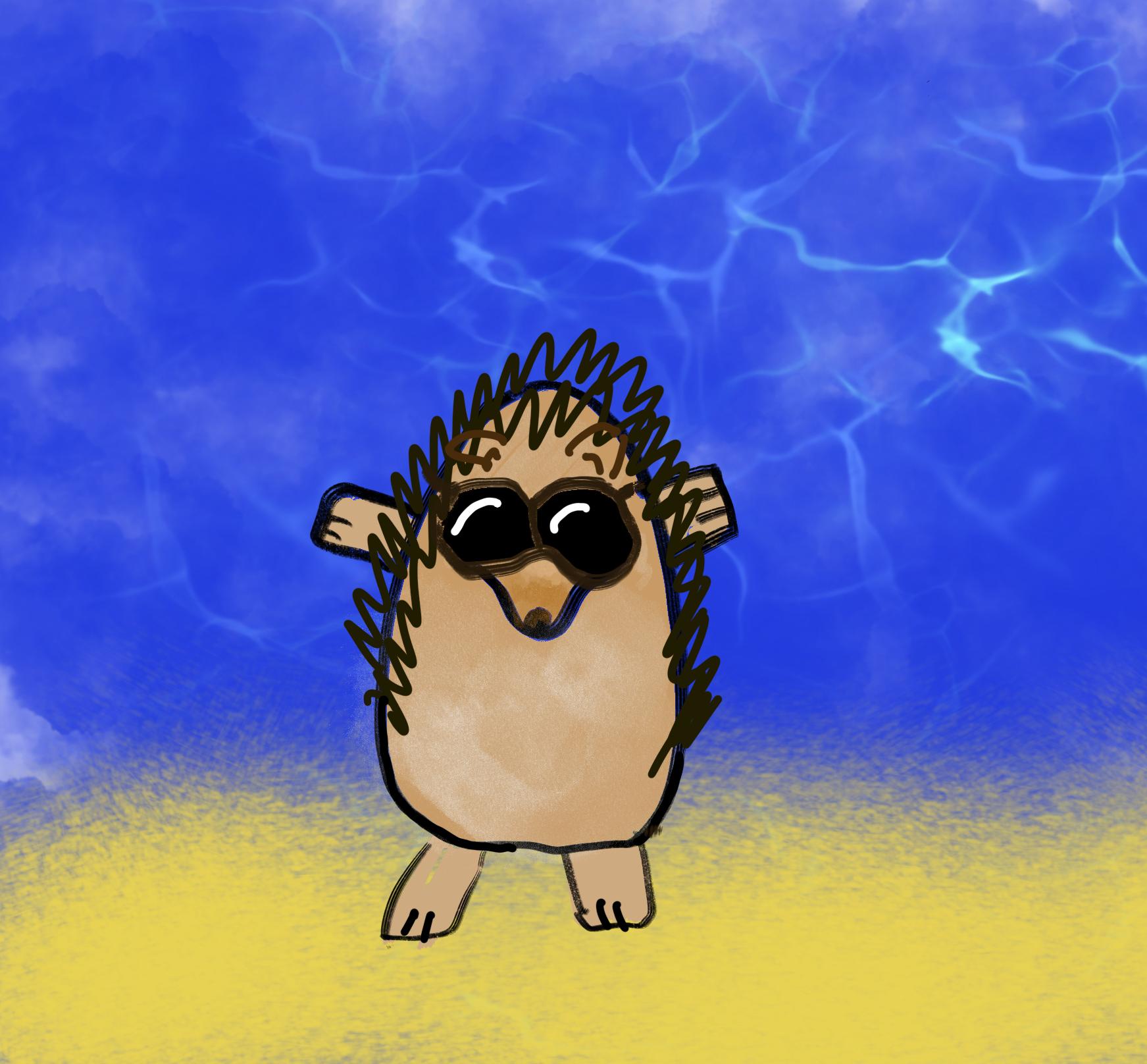 If everything worked, this is a picture of a hedgehog