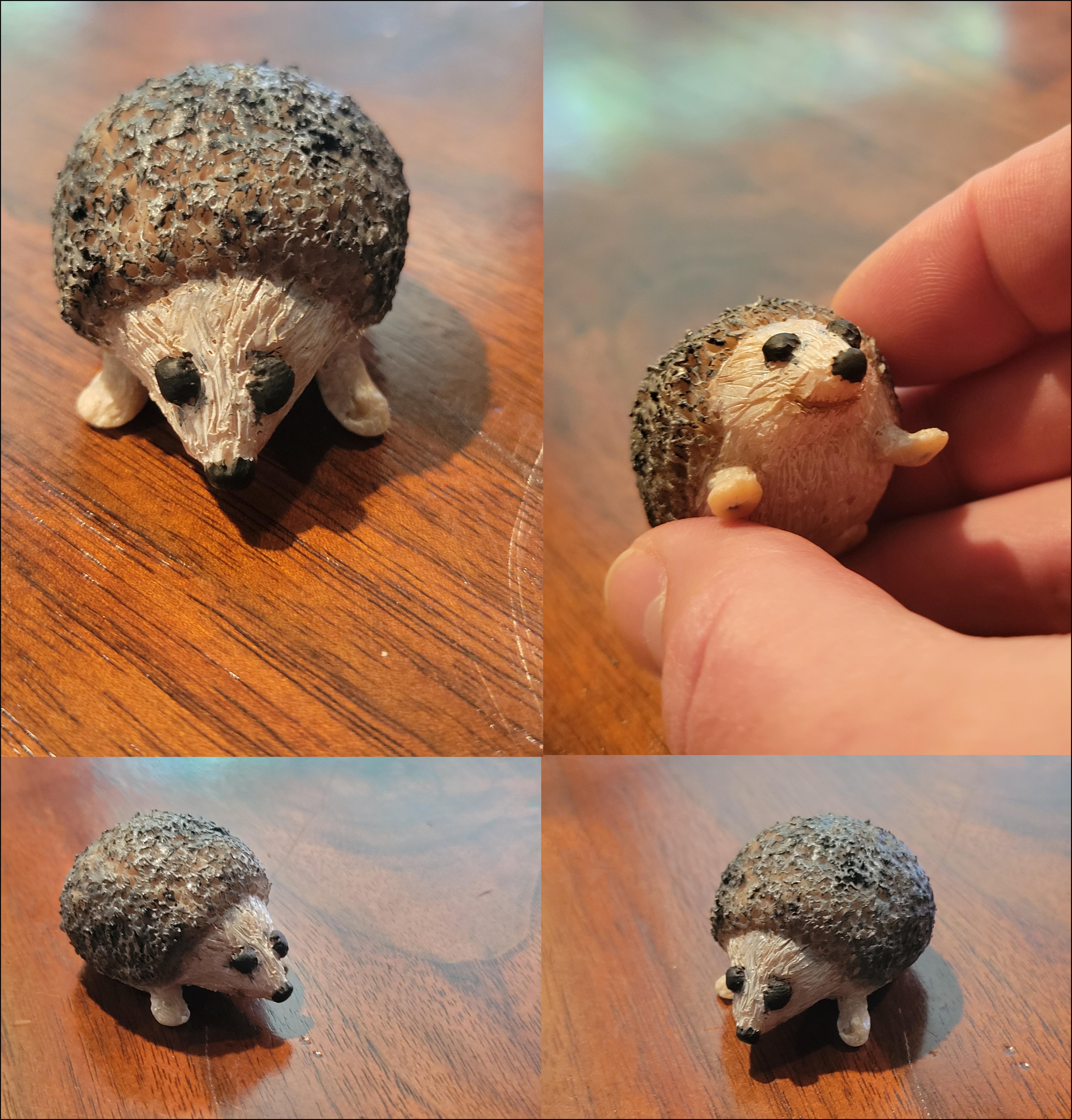 If everything worked, this is a picture of a hedgehog