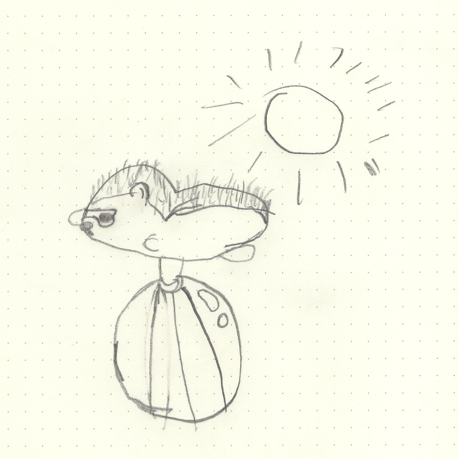 If everything worked, this is a picture of a hedgehog