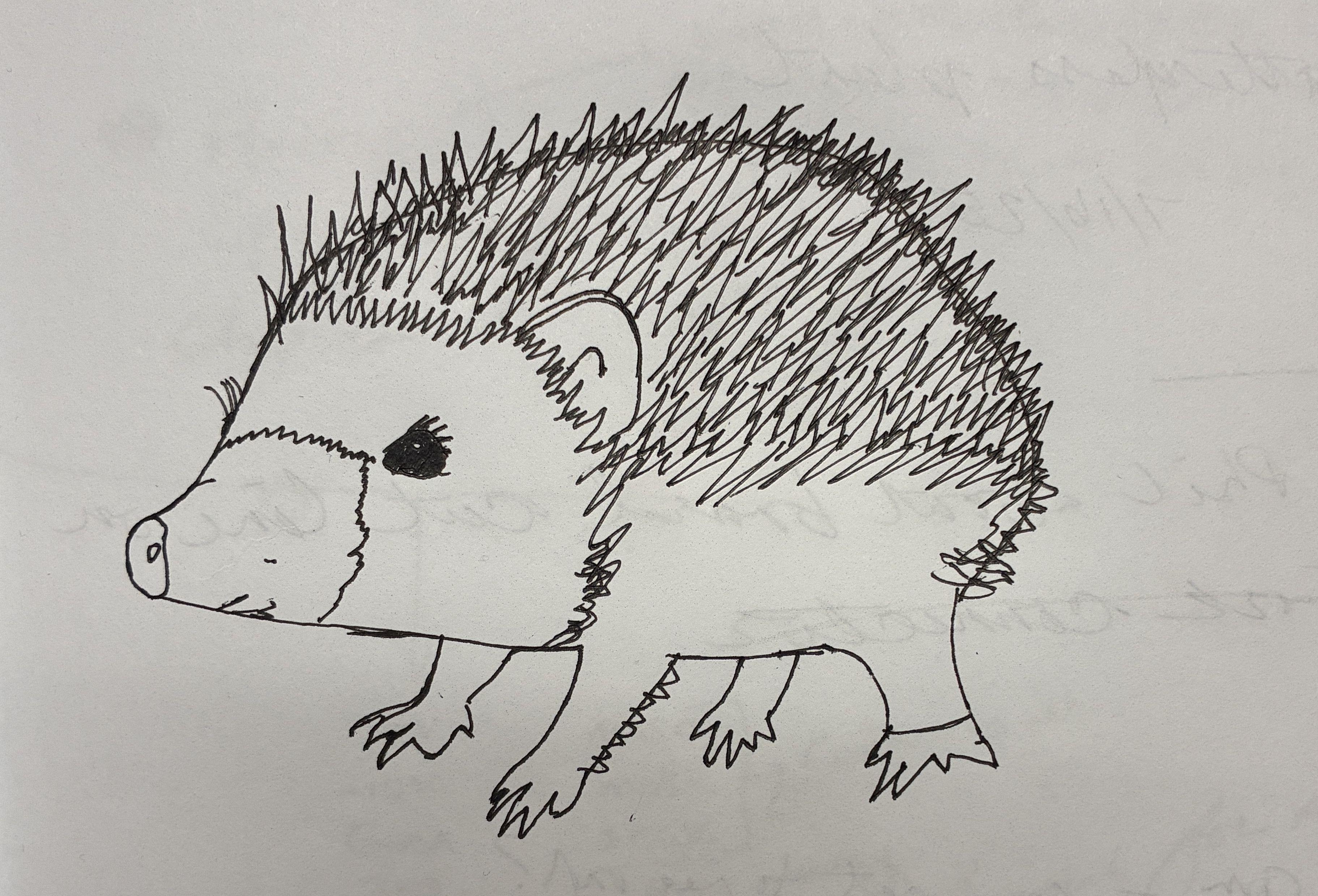 If everything worked, this is a picture of a hedgehog