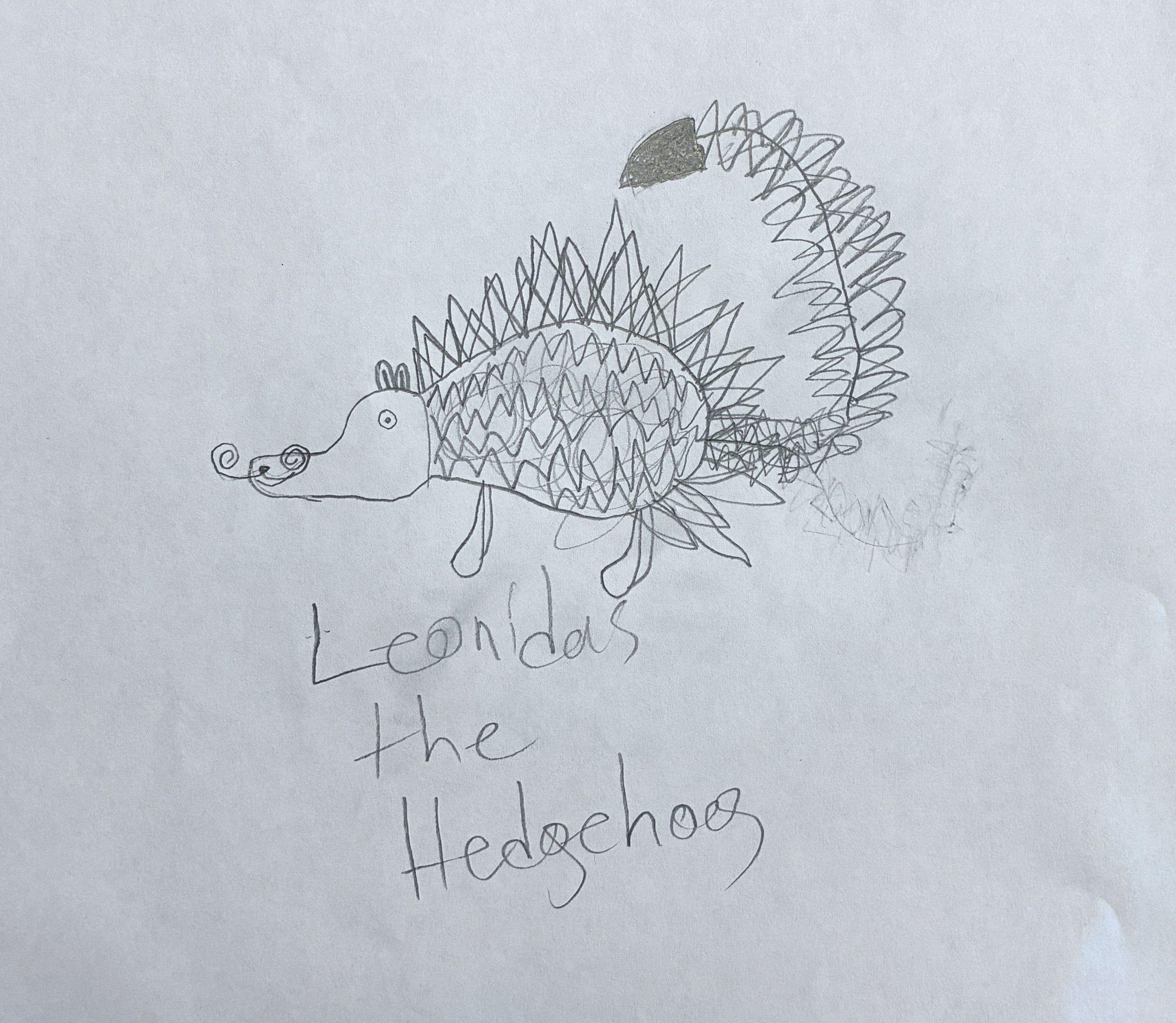 If everything worked, this is a picture of a hedgehog