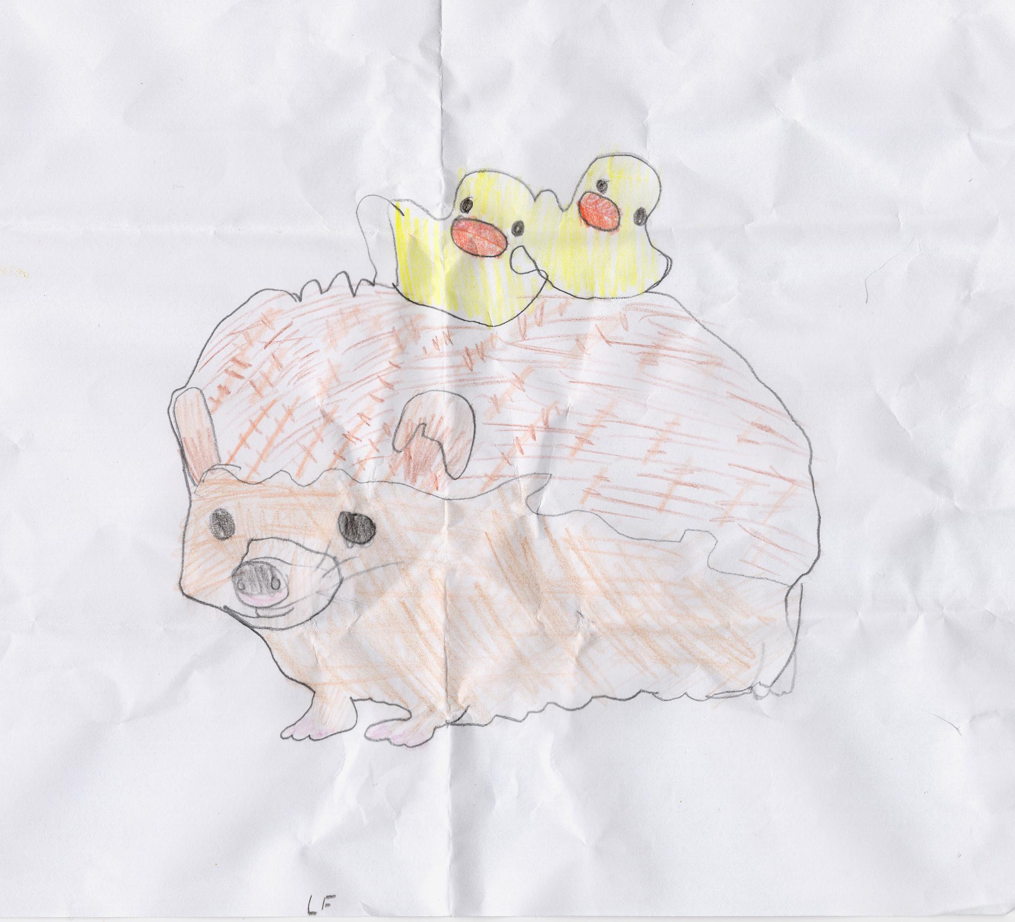 If everything worked, this is a picture of a hedgehog