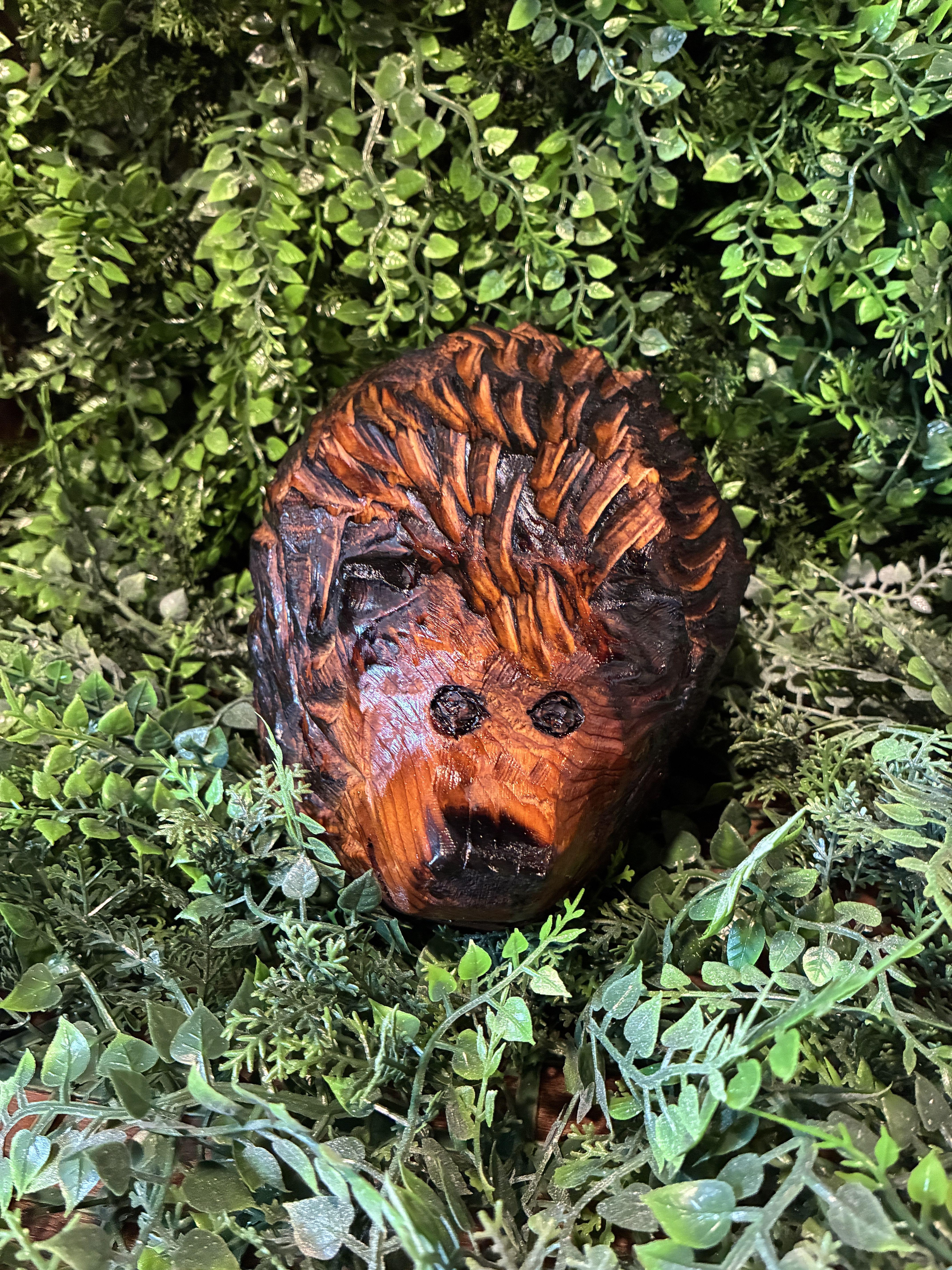 If everything worked, this is a picture of a hedgehog