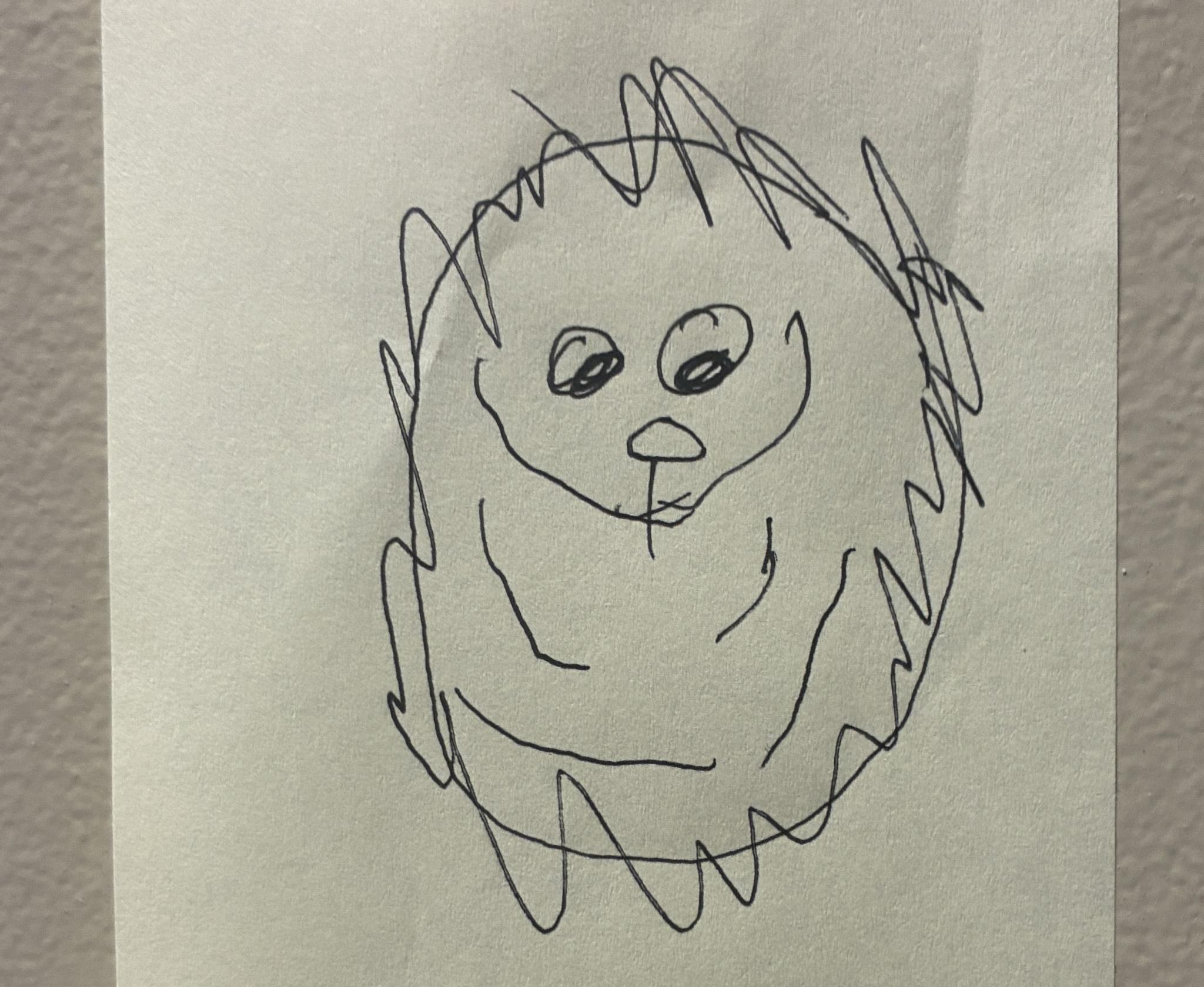 If everything worked, this is a picture of a hedgehog