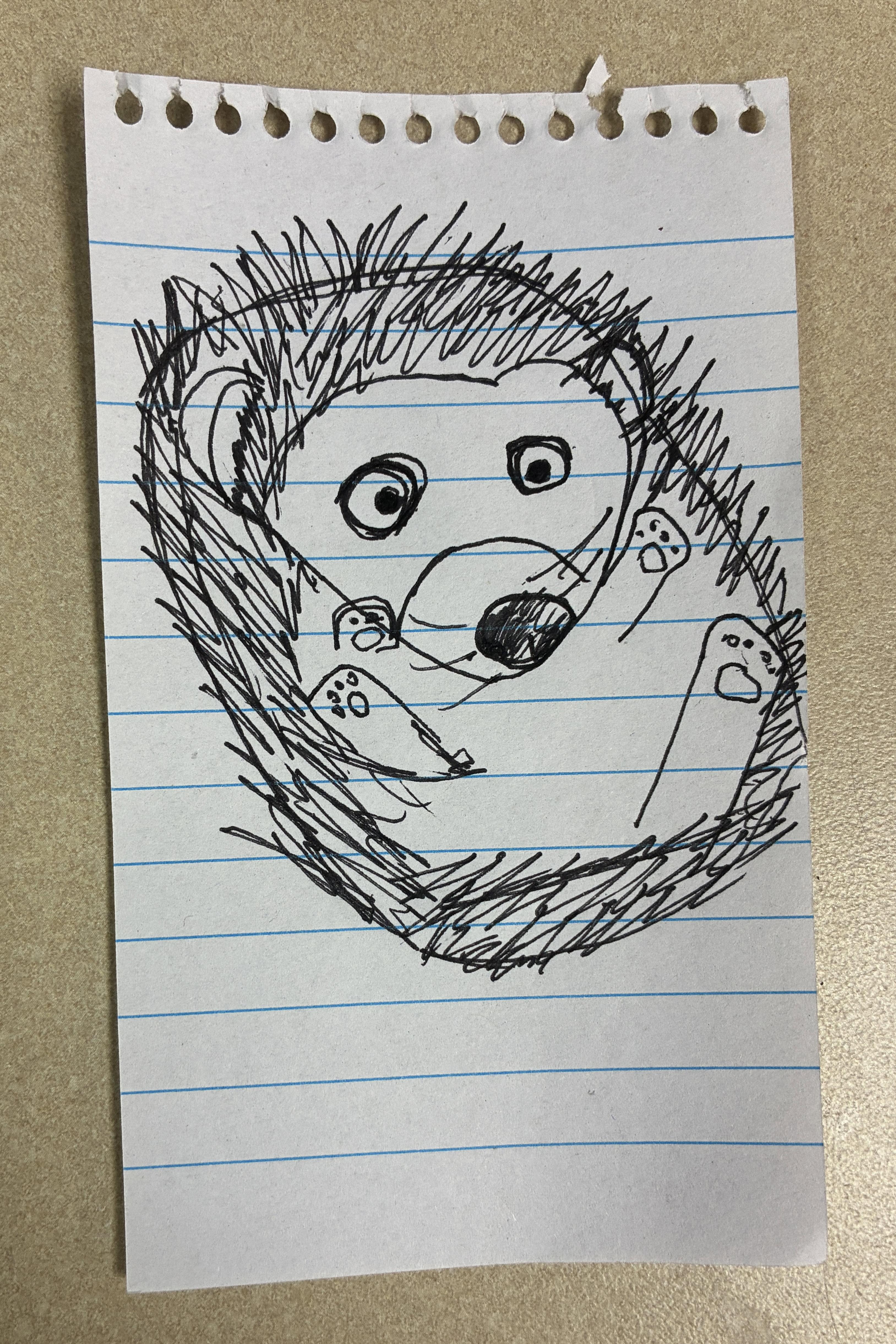 If everything worked, this is a picture of a hedgehog