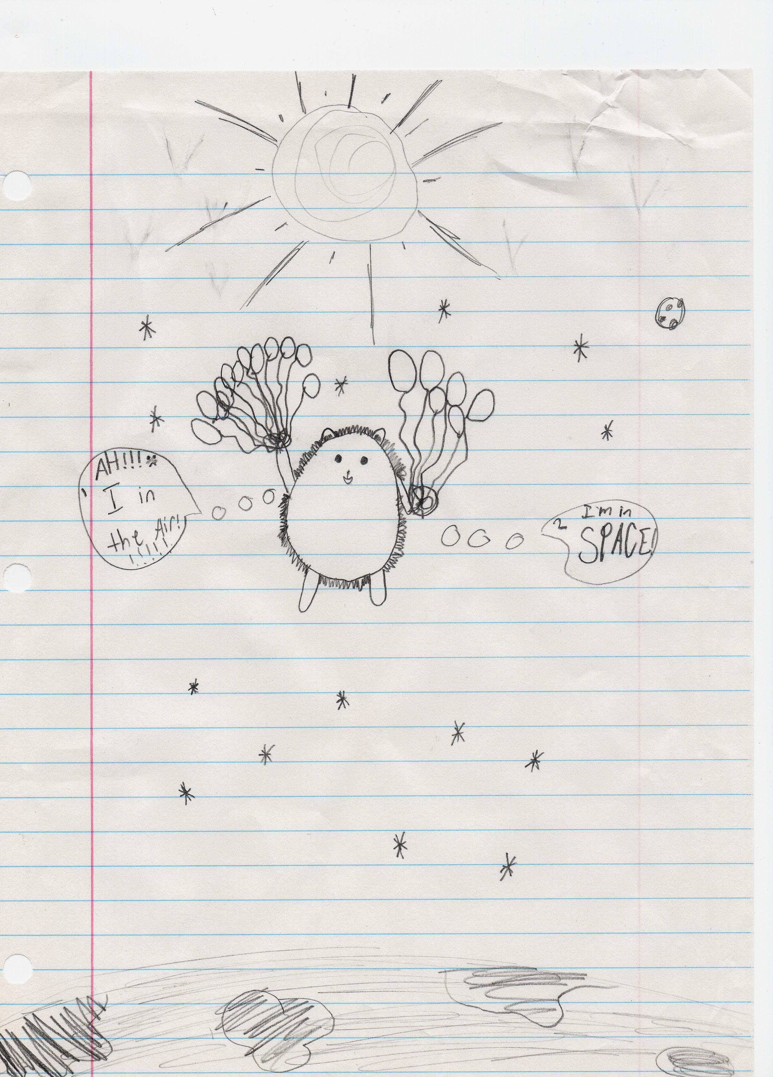 If everything worked, this is a picture of a hedgehog