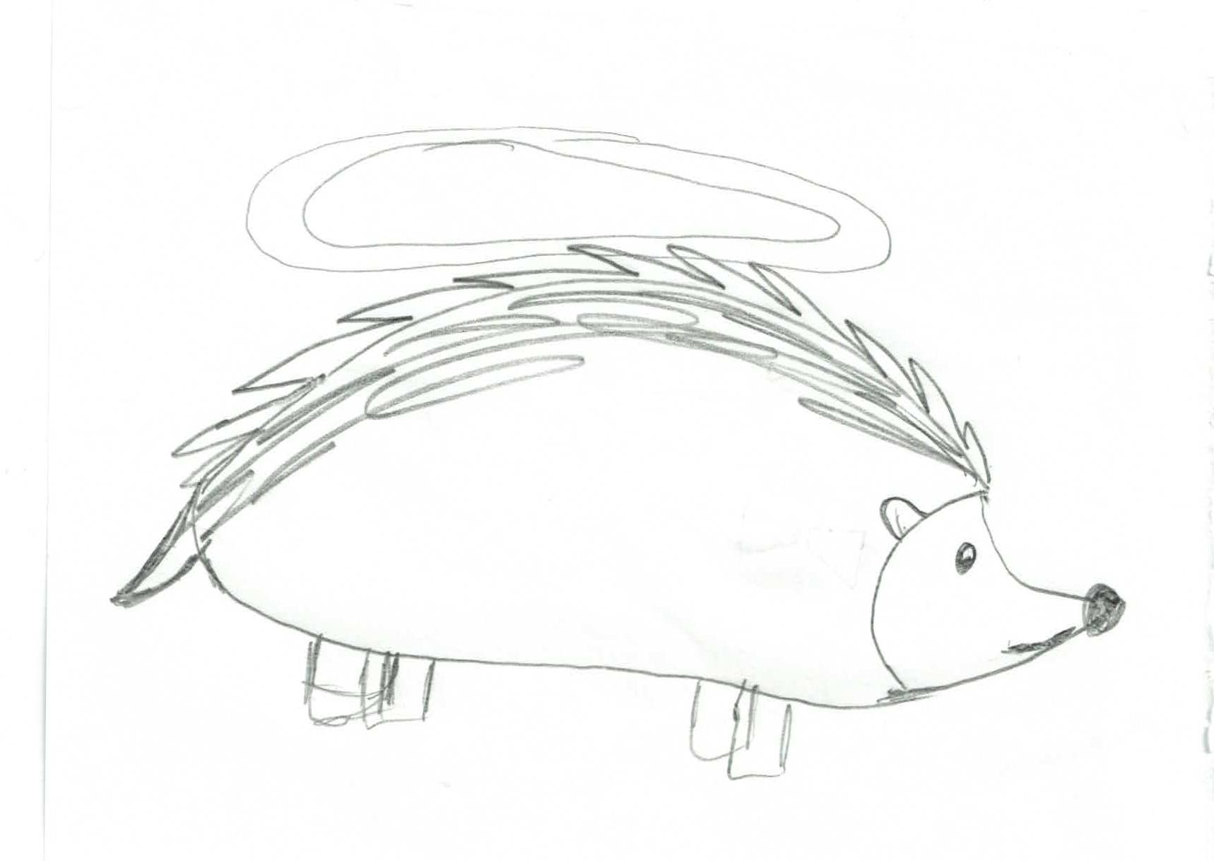 If everything worked, this is a picture of a hedgehog