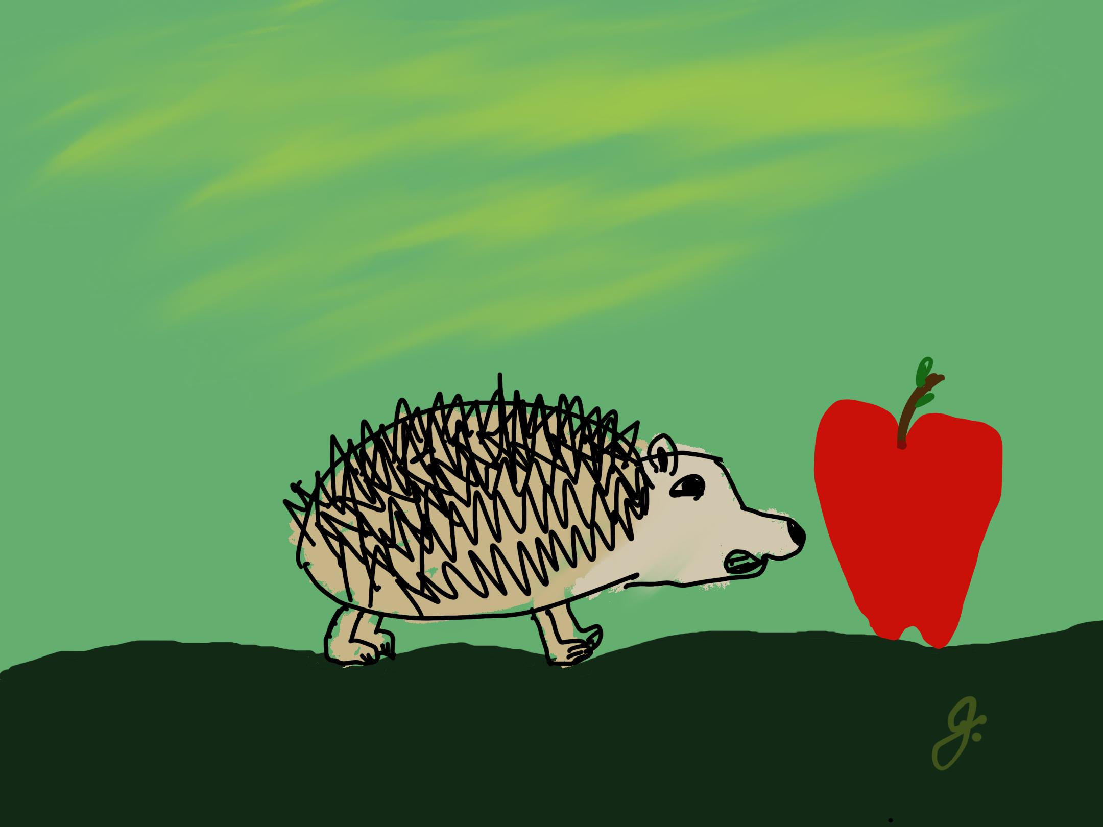 If everything worked, this is a picture of a hedgehog