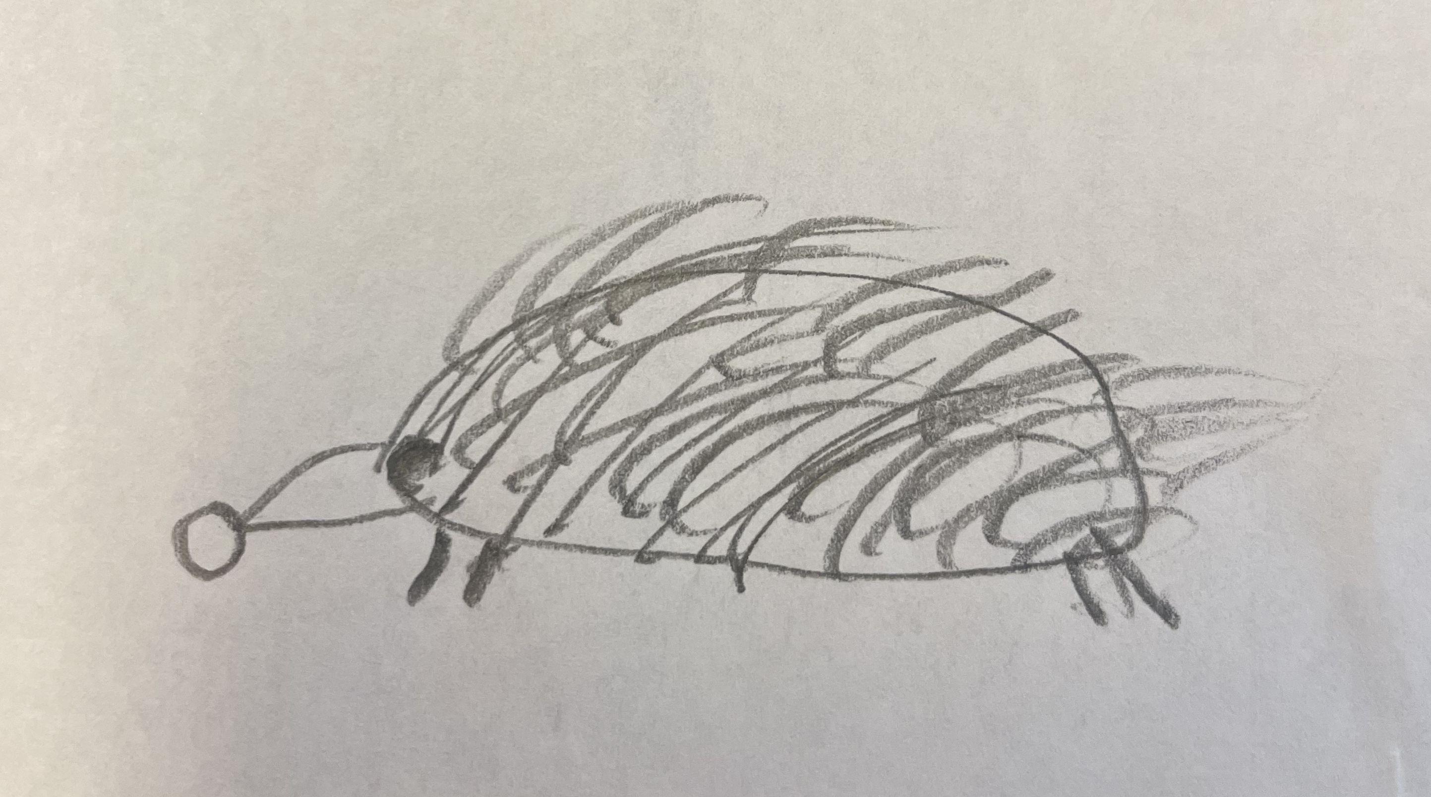 If everything worked, this is a picture of a hedgehog