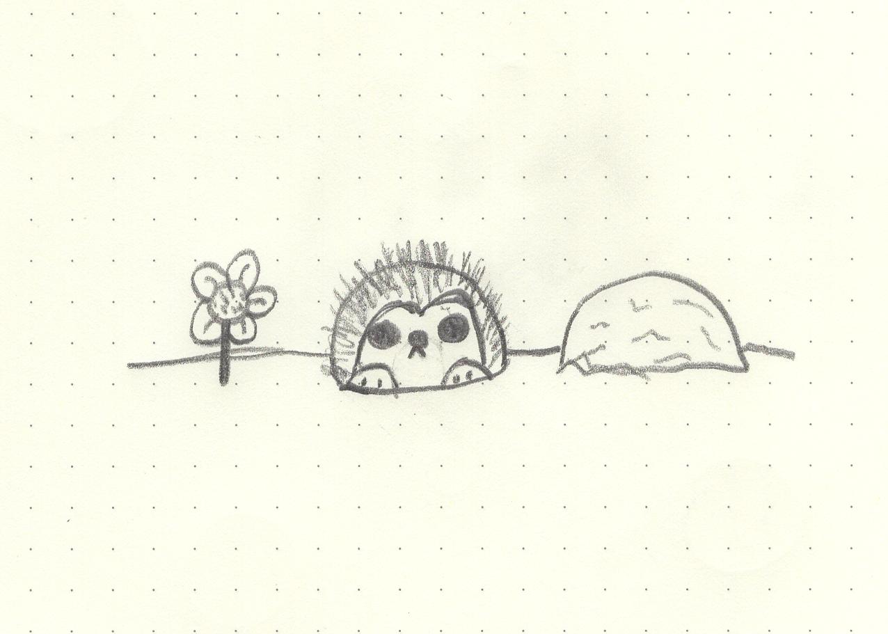 If everything worked, this is a picture of a hedgehog
