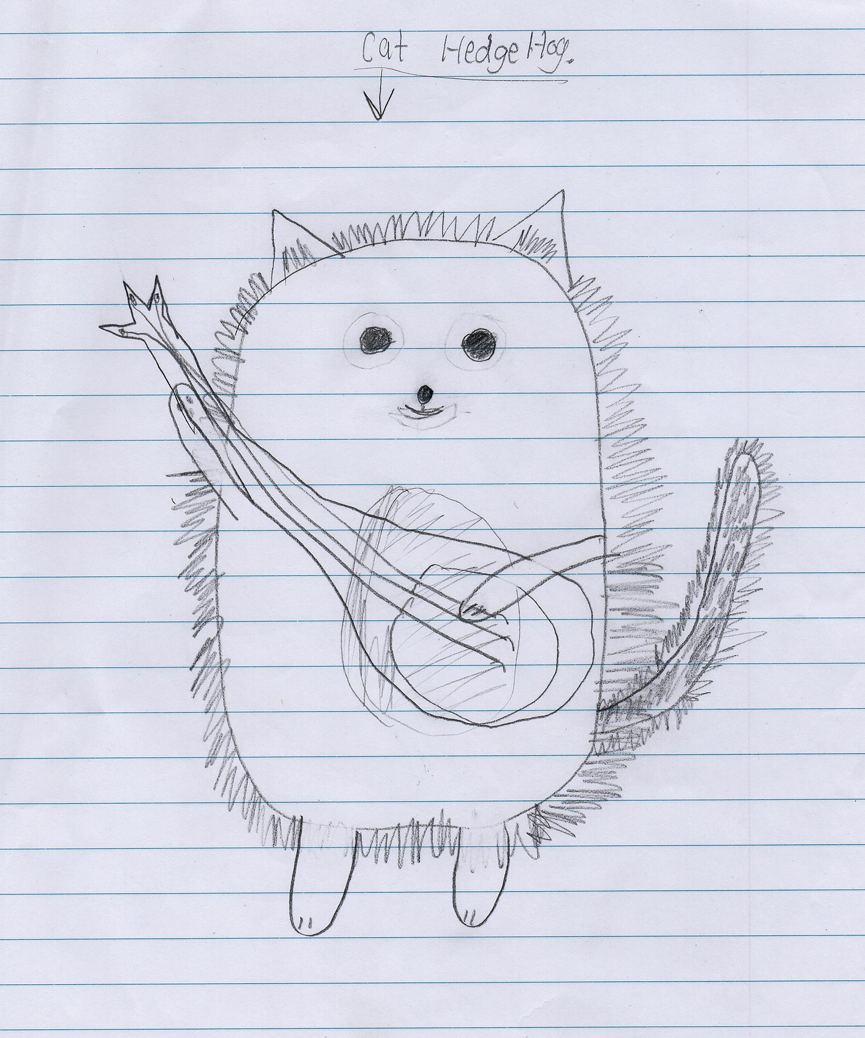 If everything worked, this is a picture of a hedgehog