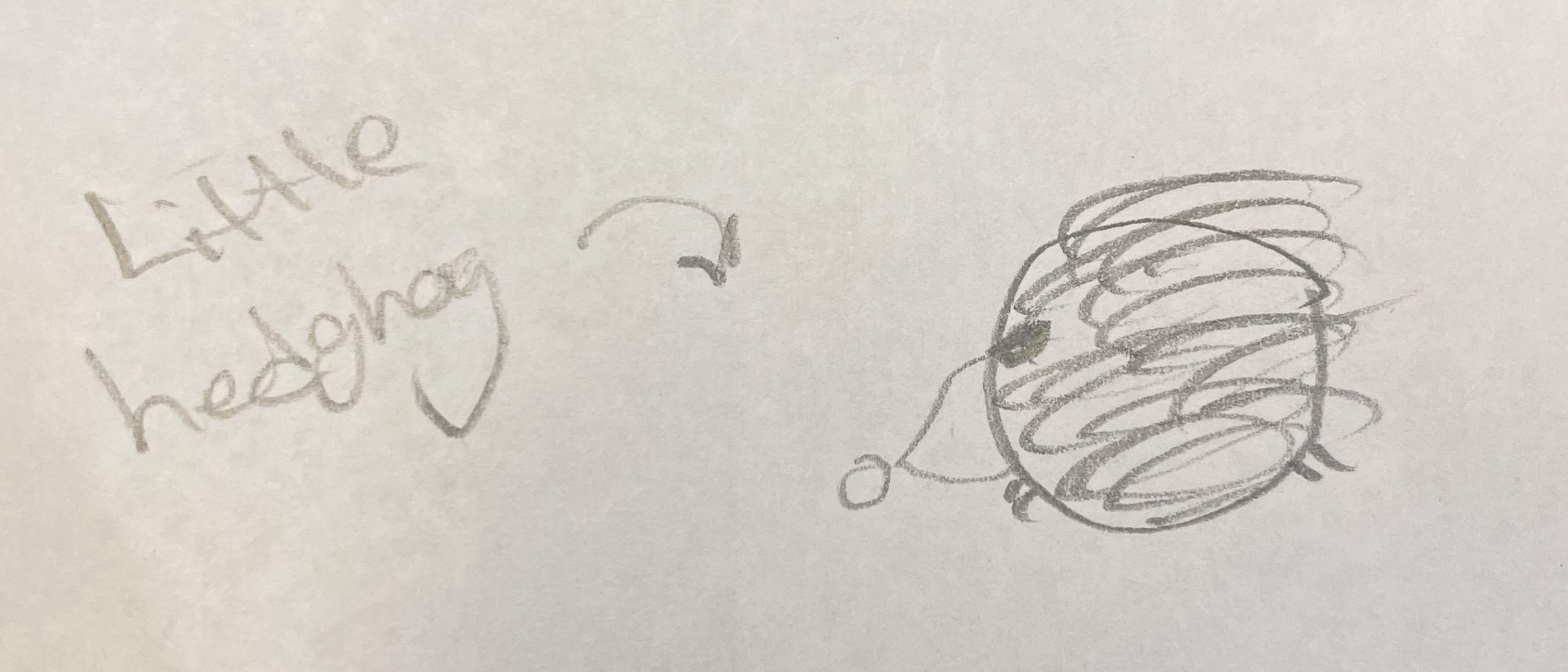 If everything worked, this is a picture of a hedgehog