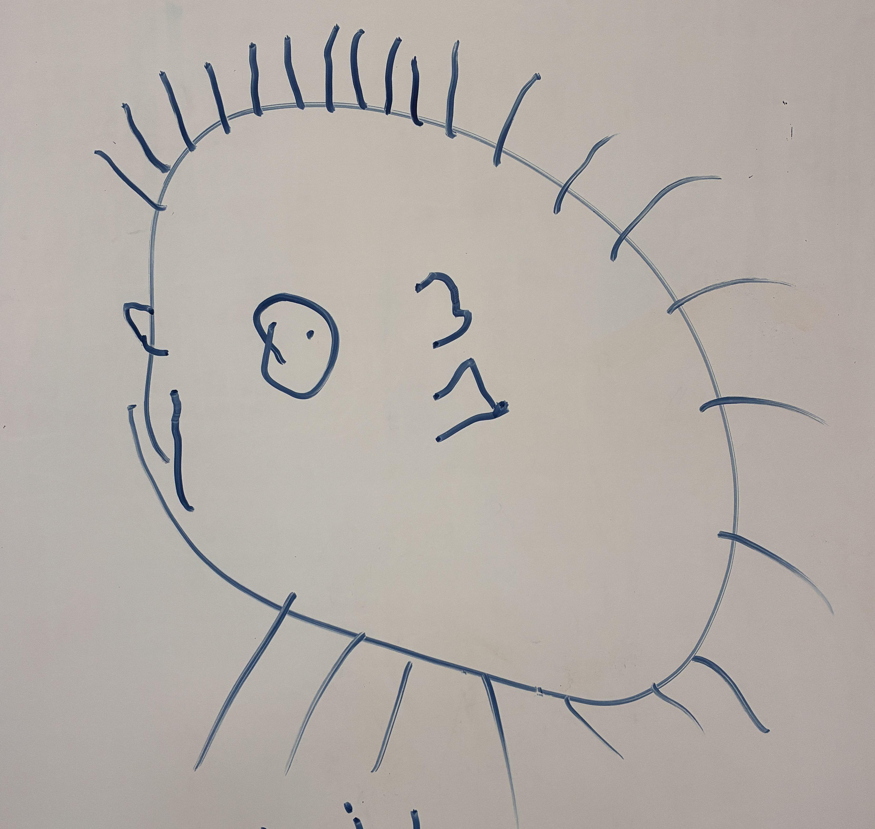 If everything worked, this is a picture of a hedgehog