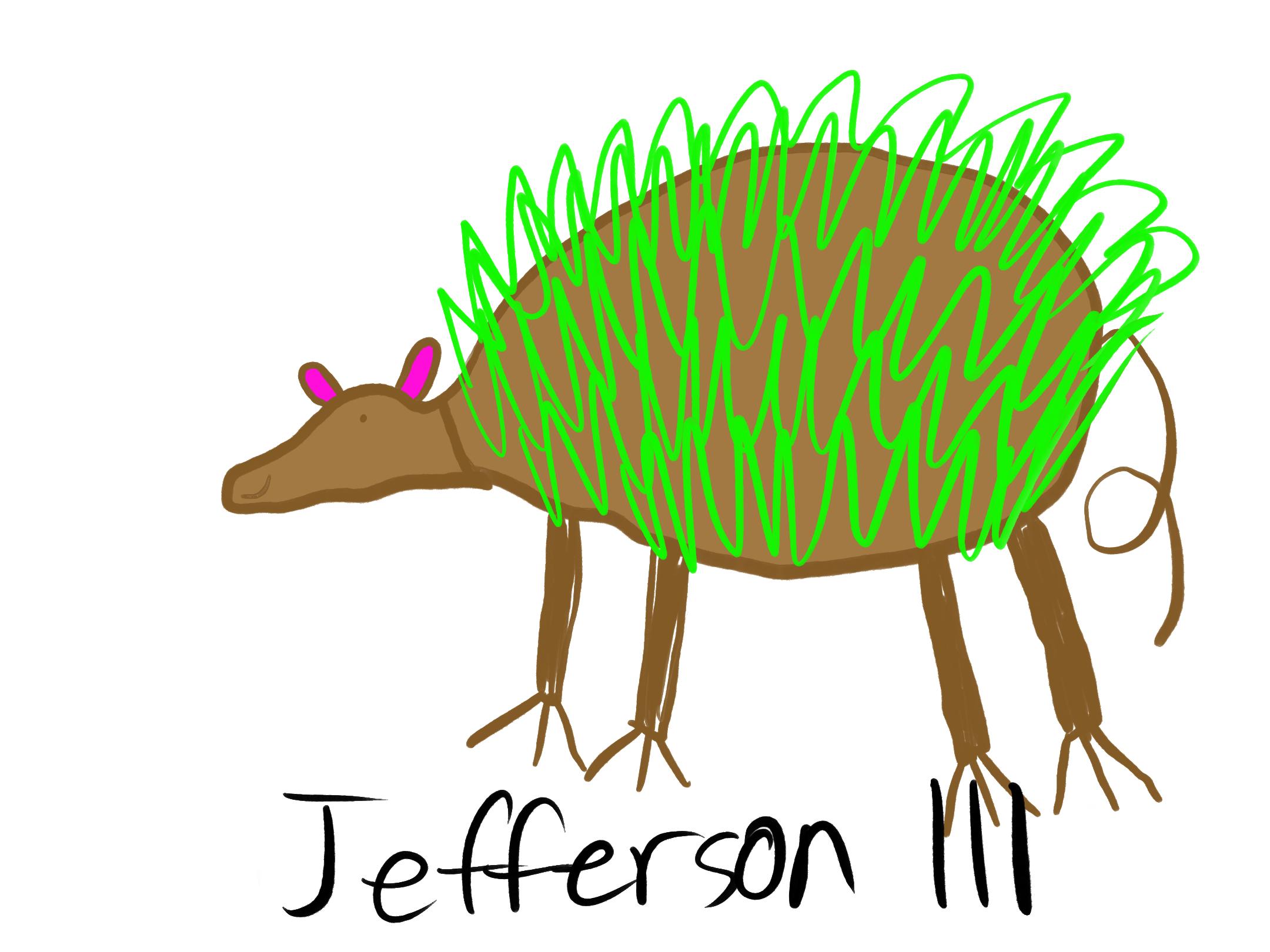 If everything worked, this is a picture of a hedgehog