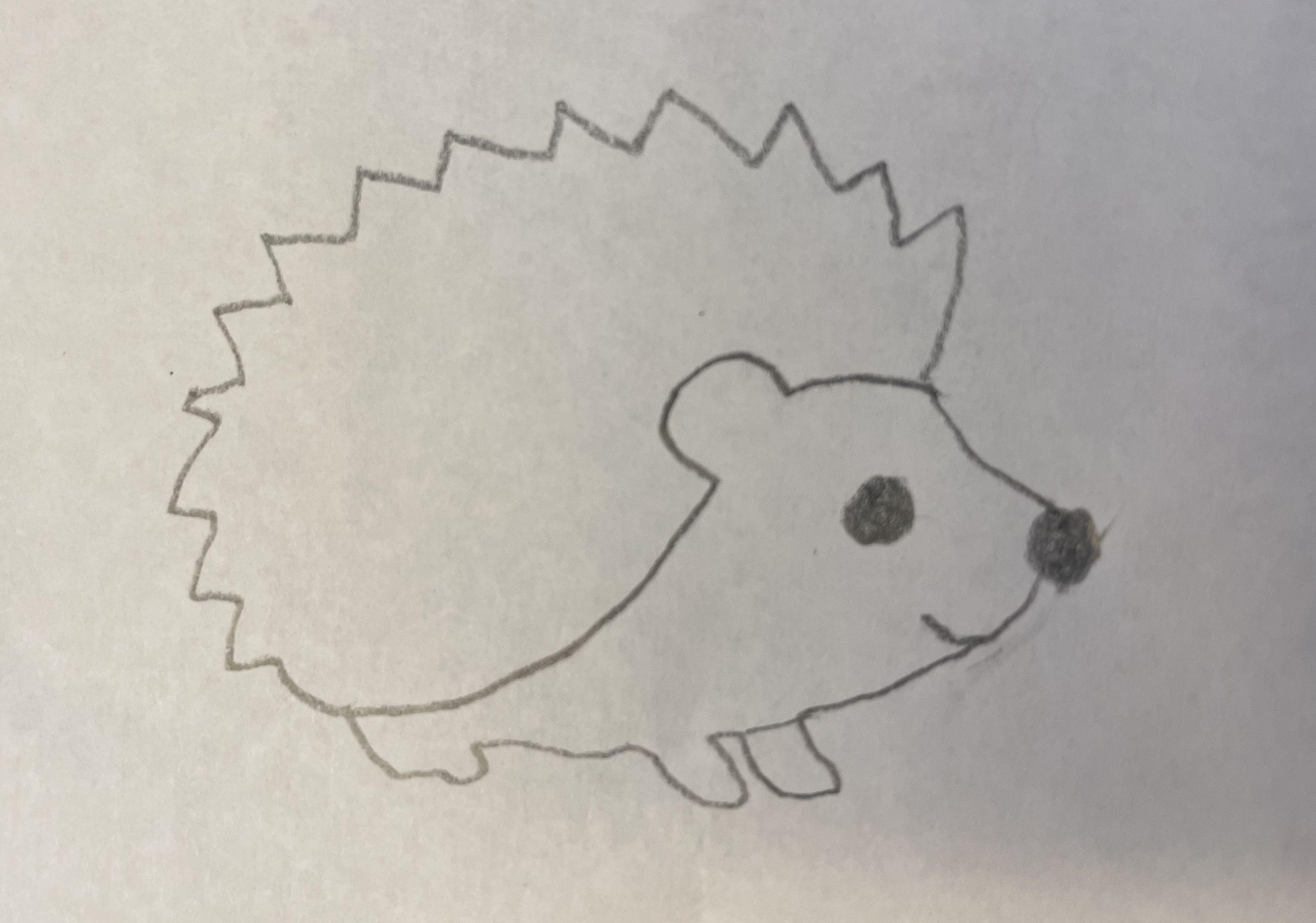 If everything worked, this is a picture of a hedgehog