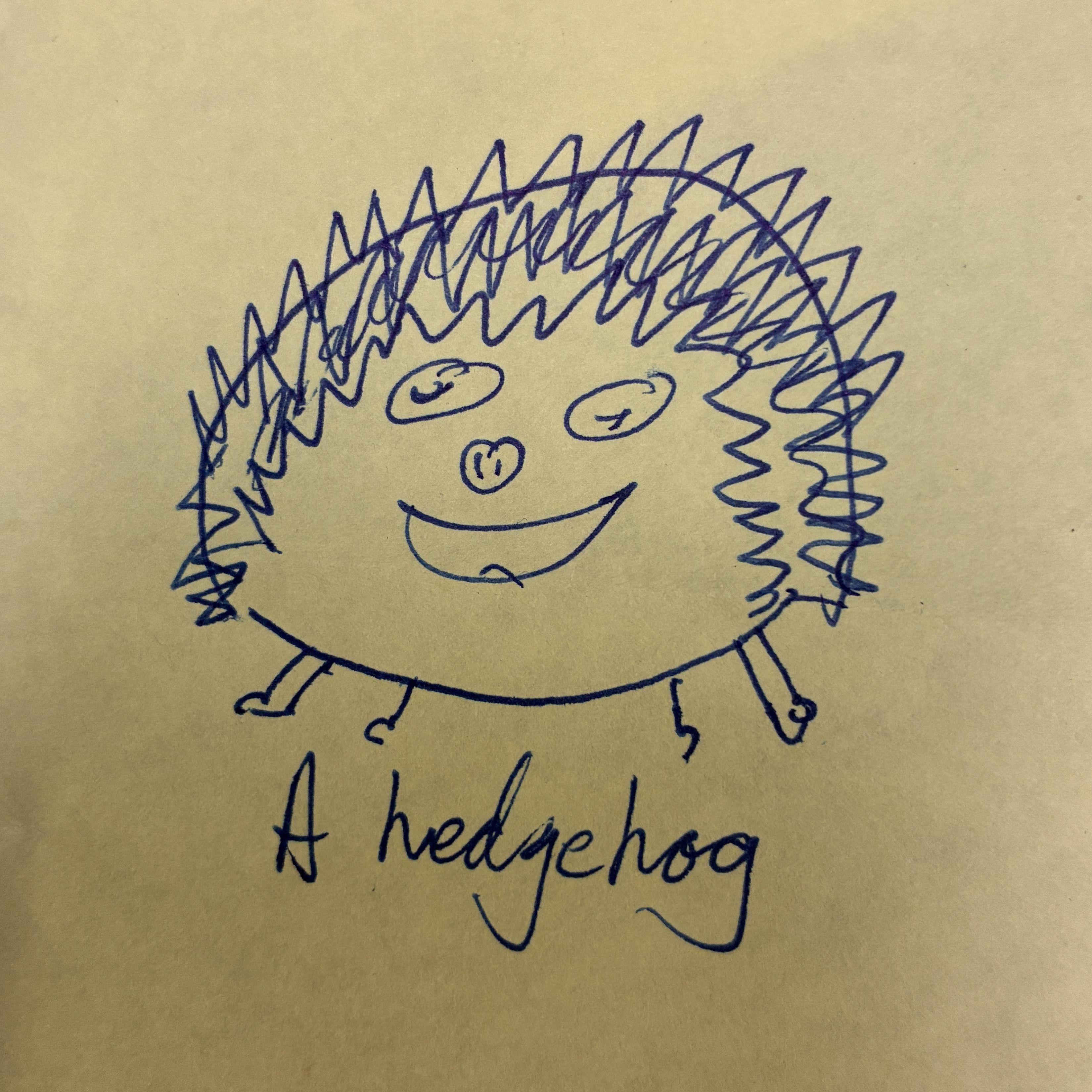 If everything worked, this is a picture of a hedgehog
