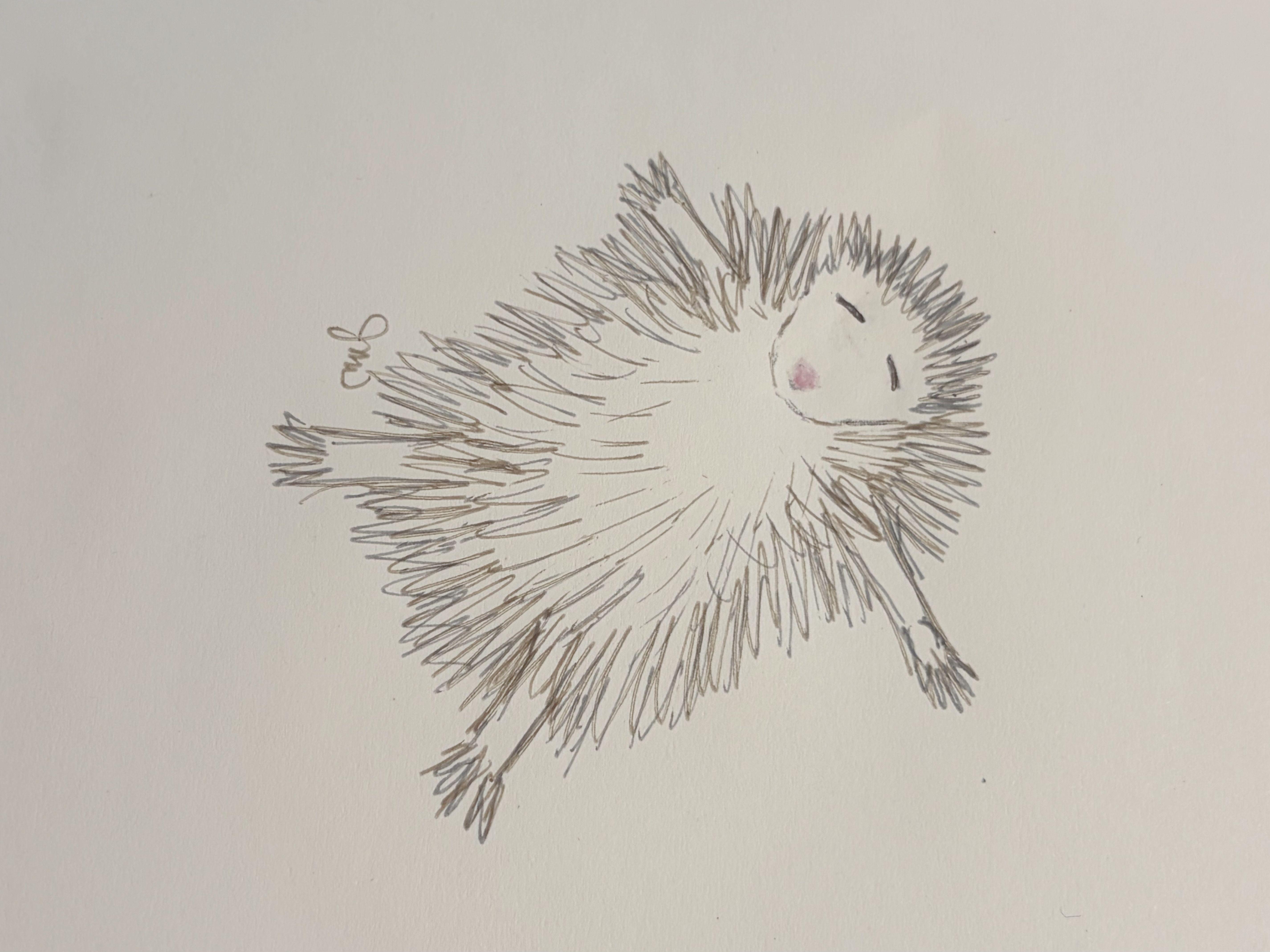 If everything worked, this is a picture of a hedgehog