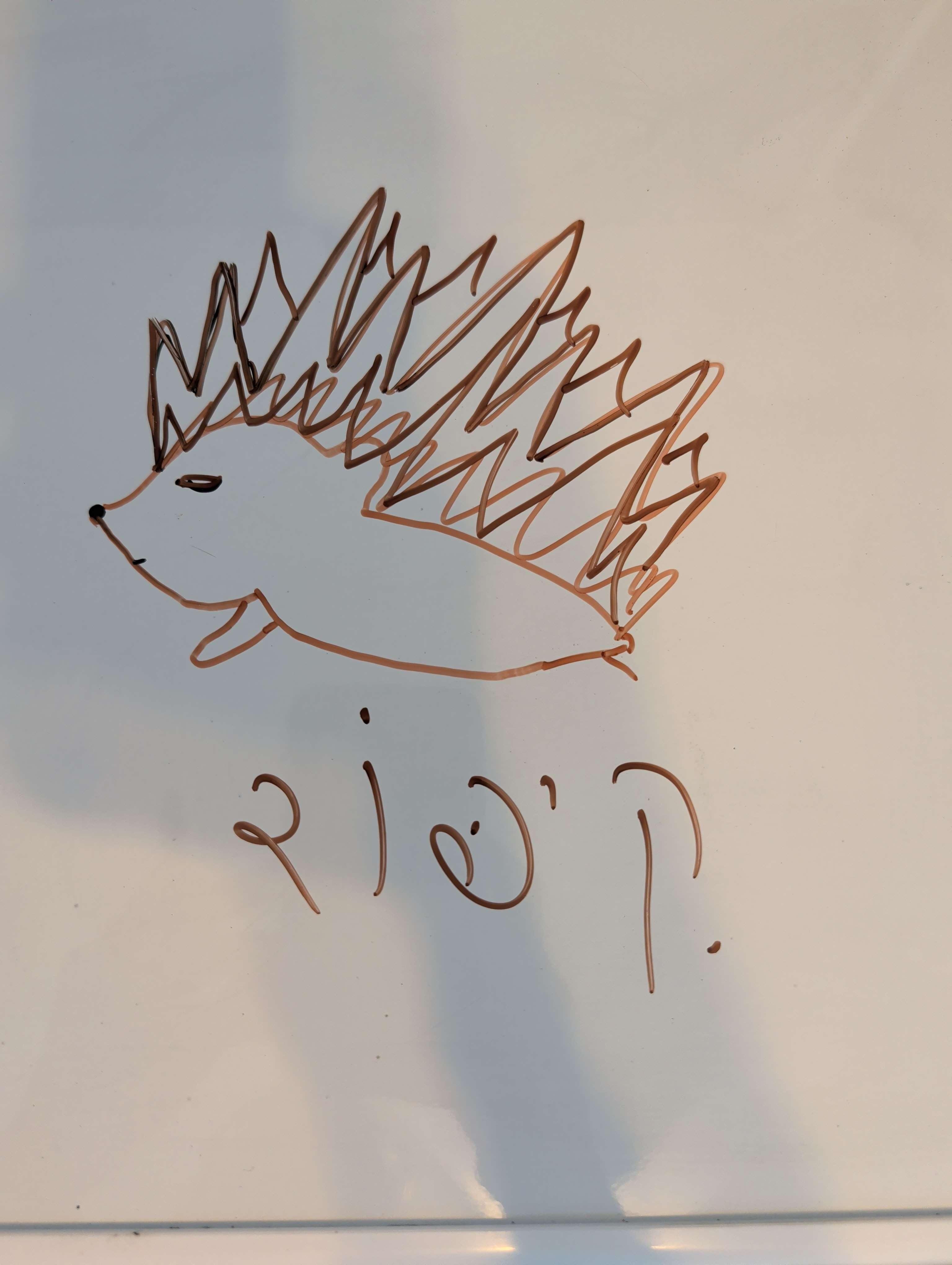 If everything worked, this is a picture of a hedgehog